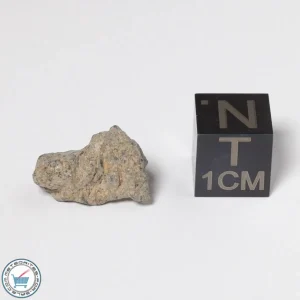 NWA 11474 Lunar Meteorite 1.16g