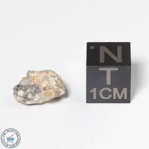 NWA 11474 Lunar Meteorite 0.79g