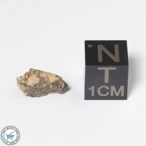 NWA 11474 Lunar Meteorite 0.46g