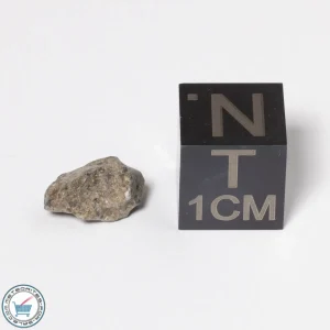 NWA 11474 Lunar Meteorite 0.38g