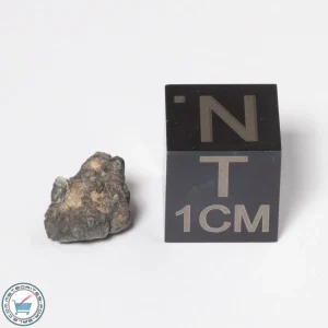 NWA 11474 Lunar Meteorite 0.34g