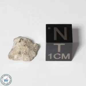 NWA 13974 Lunar Meteorite 0.58g