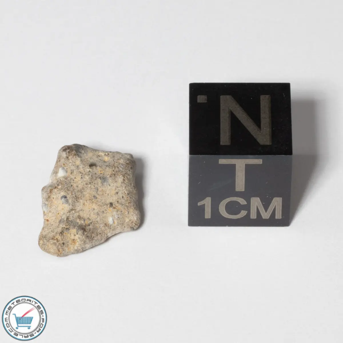 NWA 13974 Lunar Meteorite 0.59g