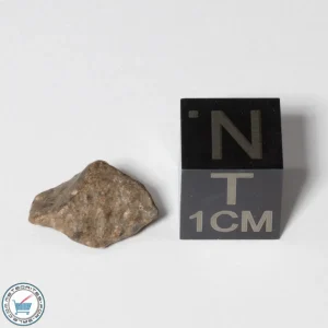 NWA 13974 Lunar Meteorite 0.62g