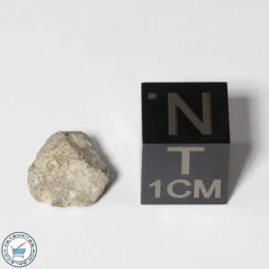 NWA 13974 Lunar Meteorite 0.52g