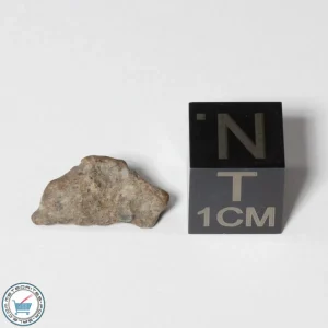 NWA 13974 Lunar Meteorite 0.45g