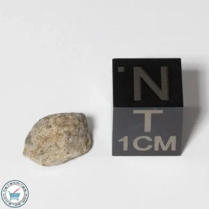 NWA 13974 Lunar Meteorite 0.47g