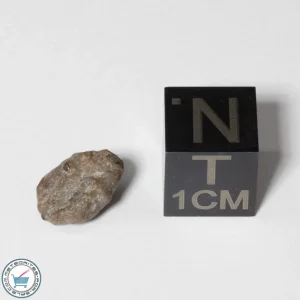 NWA 13974 Lunar Meteorite 0.50g