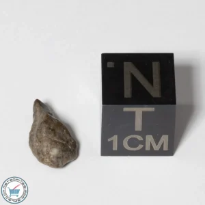 NWA 13974 Lunar Meteorite 0.37g