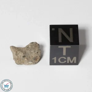 NWA 13974 Lunar Meteorite 0.43g