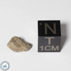 NWA 13974 Lunar Meteorite 0.39g