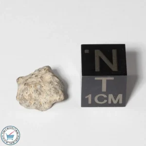 NWA 13974 Lunar Meteorite 0.87g