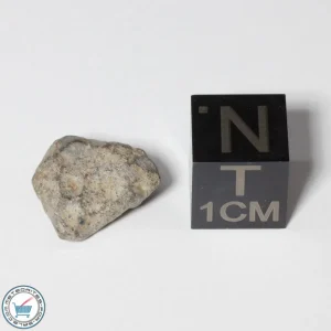 NWA 13974 Lunar Meteorite 1.17g