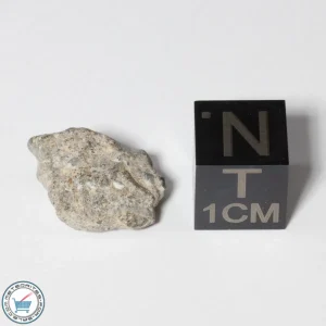 NWA 13974 Lunar Meteorite 1.27g