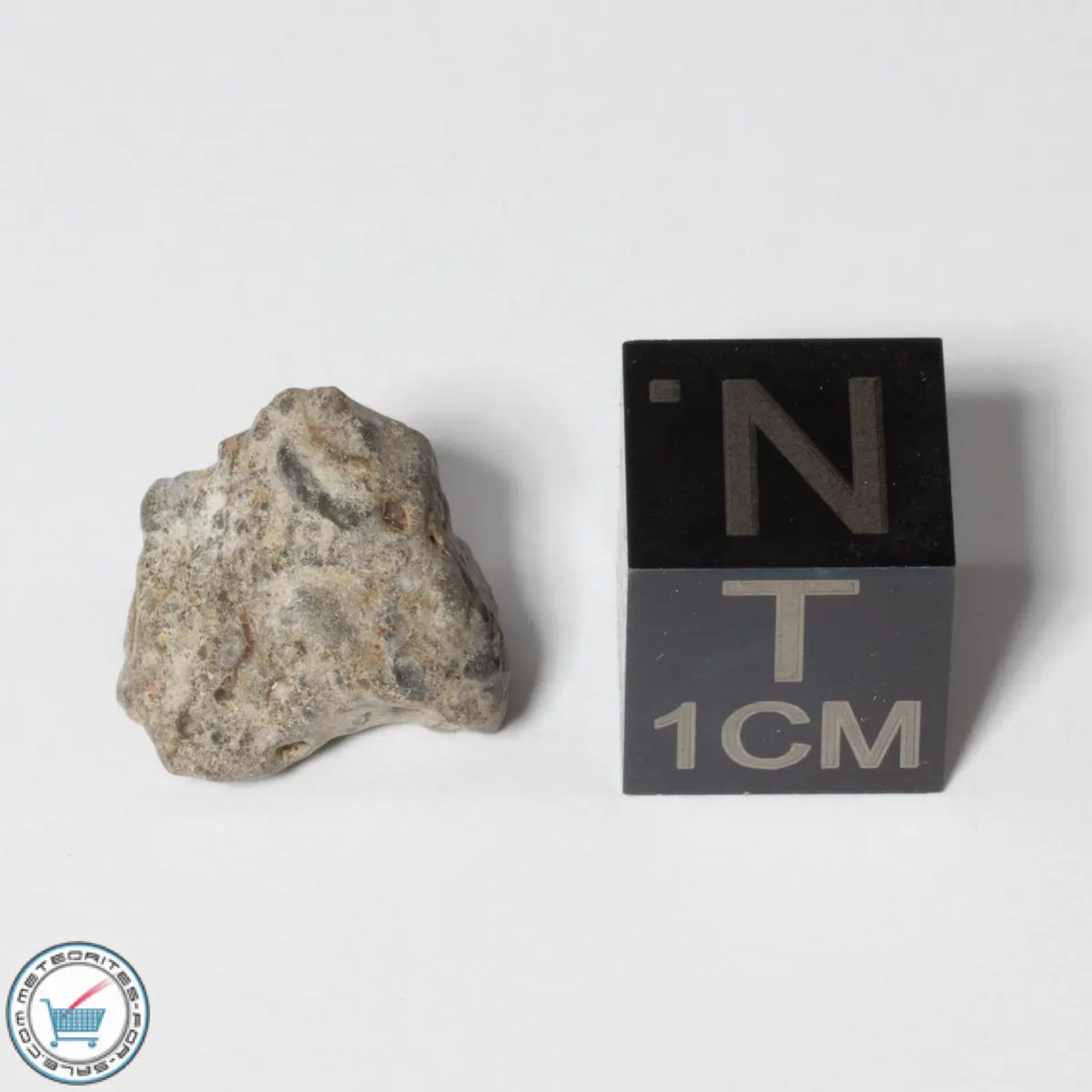 NWA 13974 Lunar Meteorite 1.47g