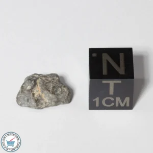 NWA 13974 Lunar Meteorite 0.74g