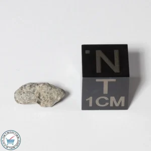 NWA 13974 Lunar Meteorite 0.36g
