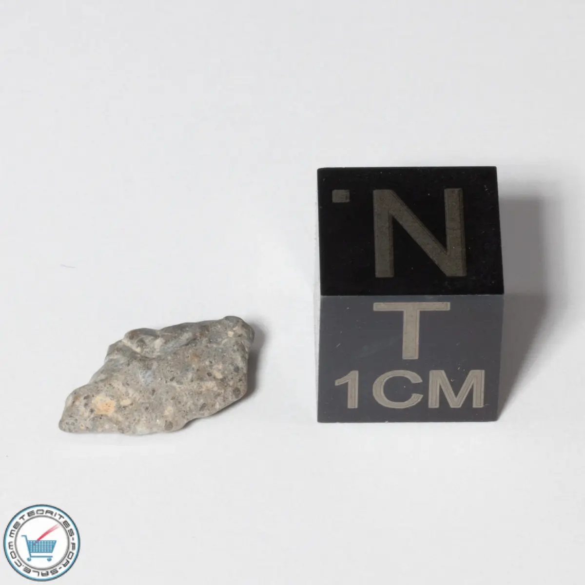 NWA 13974 Lunar Meteorite 0.27g
