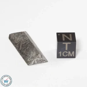 Aletai Meteorite 9.5g Shapes