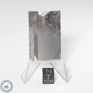 Aletai Meteorite 15.3g Slice