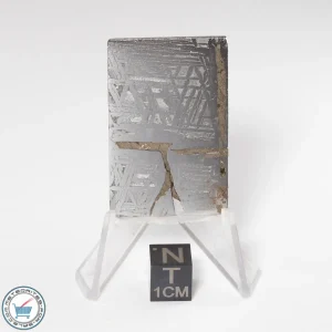 Aletai Meteorite 19.5g Slice