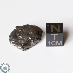 Aletai Meteorite 9.1g Crystal