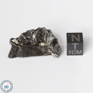 Aletai Meteorite 21.4g Crystal