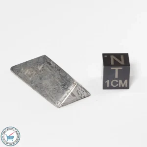 Aletai Meteorite 19.4g Shapes