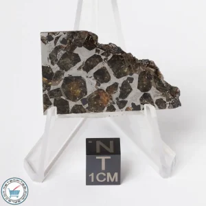 Brahin Pallasite Meteorite 8.5g Slice