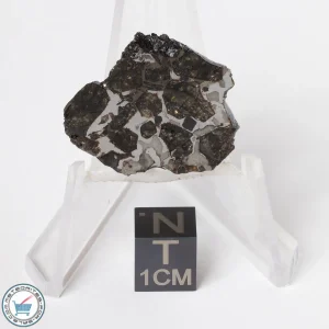 Brahin Pallasite Meteorite 5.2g Slice