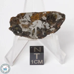 Brahin Pallasite Meteorite 8.9g Slice