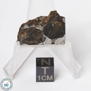 Brahin Pallasite Meteorite 5.7g Slice