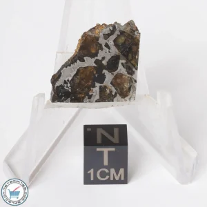 Brahin Pallasite Meteorite 4.5g Slice