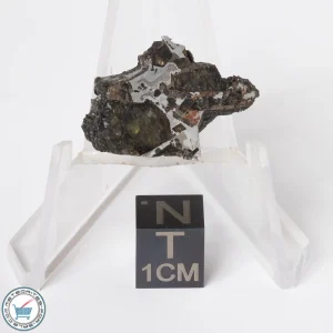 Brahin Pallasite Meteorite 4.0g Slice