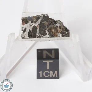 Brahin Pallasite Meteorite 2.5g Slice