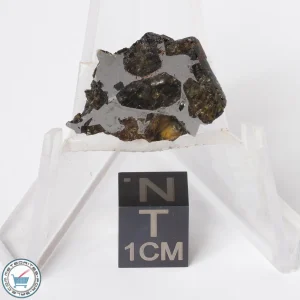 Brahin Pallasite Meteorite 2.4g Slice