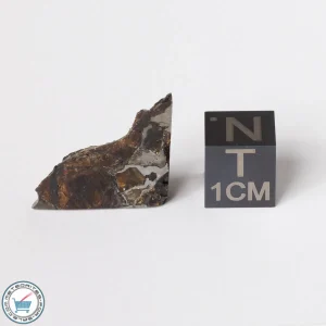 Brahin Pallasite Meteorite 2.9g End-Cut