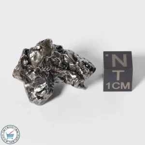 Campo del Cielo Meteorite g Crystal