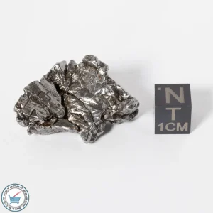 Campo del Cielo Meteorite g Crystal