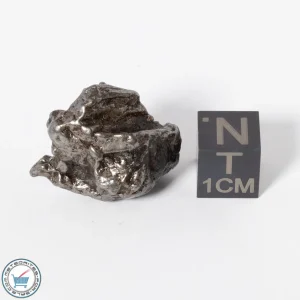 Campo del Cielo Meteorite g Crystal