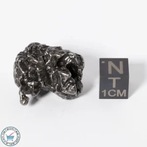 Campo del Cielo Meteorite g Crystal