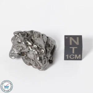 Campo del Cielo Meteorite g Crystal