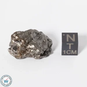 Campo del Cielo Meteorite g Crystal