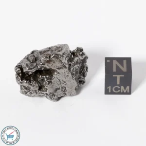 Campo del Cielo Meteorite g Crystal