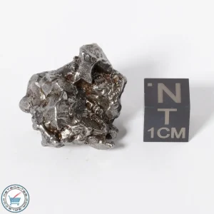 Campo del Cielo Meteorite g Crystal