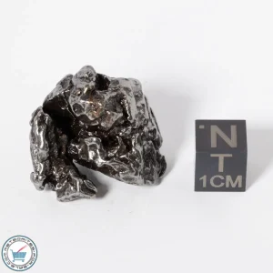 Campo del Cielo Meteorite g Crystal