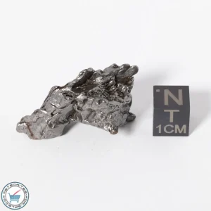 Campo del Cielo Meteorite g Crystal