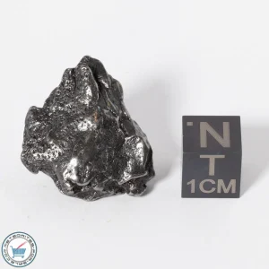 Campo del Cielo Meteorite g Crystal