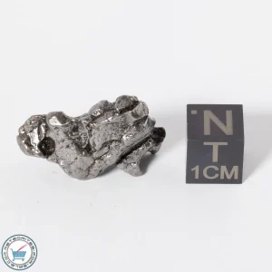 Campo del Cielo Meteorite g Crystal