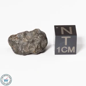 Laâyoune 002 Lunar Meteorite 2.3g